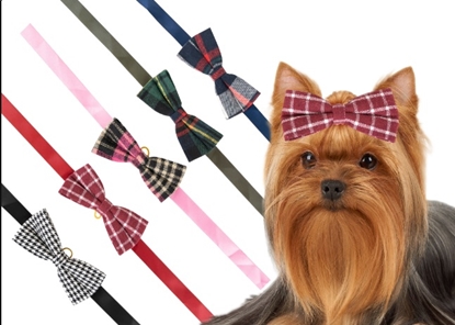 Picture of Show Tech Canine Costume Dickie Bows Retro 10pack
